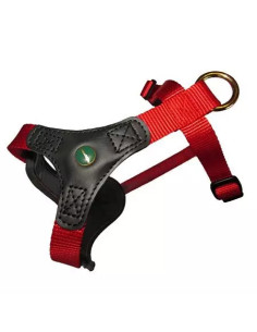 Niggeloh Hundsele Follow Start Black Red