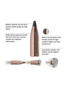 Blaser CDB 30-06 10,7gr 2