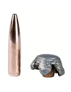 Federal Fusion 223REM 4,01g / 62gr 2