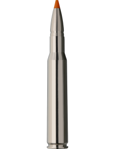 RWS Hit Short Rifle 30-06 10,7gr 2
