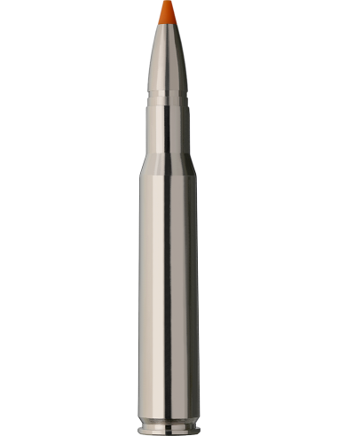 RWS Hit Short Rifle 30-06 10,7gr