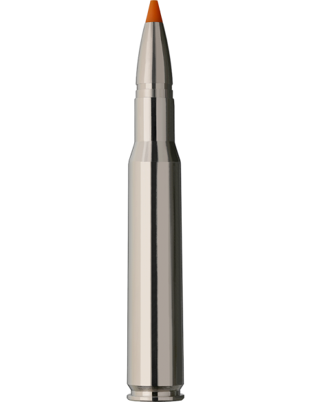 RWS Hit Short Rifle 30-06 10,7gr