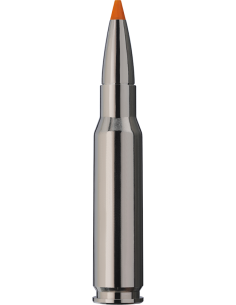 RWS Hit Short Rifle 308 Win 9,7gr 2