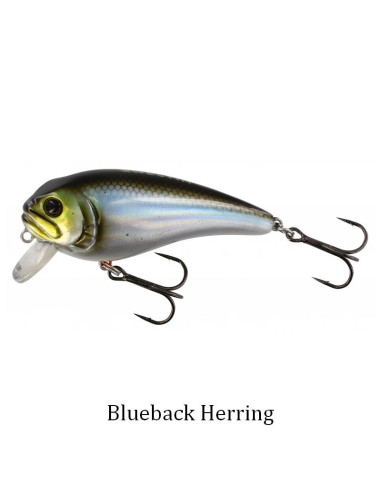 Westin FatBite 5,5cm 8g Floating