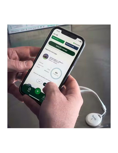 Tendy Nemus Mörningstimer