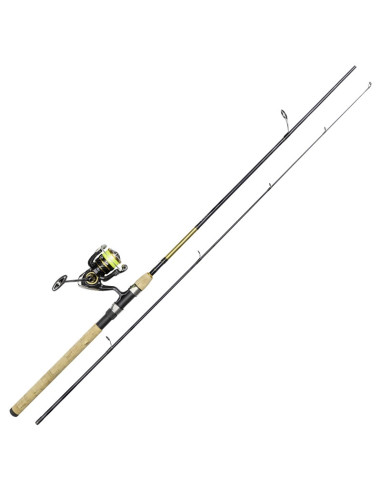 Daiwa Crossfire LT2500 Gold Rush 8' 244cm 7-28g Haspelkombo