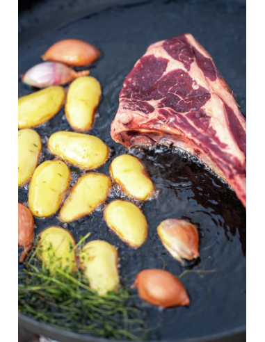 Hällmark Traktörhäll 51cm