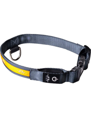 Blaser Hundhalsband med LED Small 30-40cm