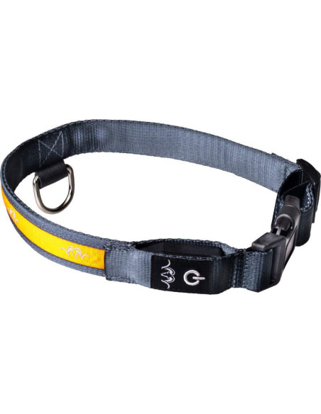 Blaser Hundhalsband med LED Large 49-59cm