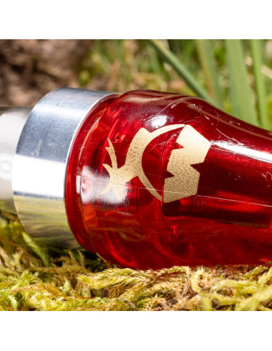 Weisskirchen Lockpipa för Gås