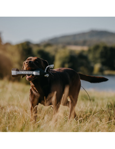 HP&G Balance Dummy Flasher 320g