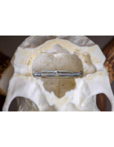 Trofeskruv Kronhjort