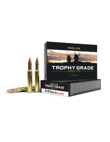 Nosler Trophy Grade Accubond 30-06 10,7gr