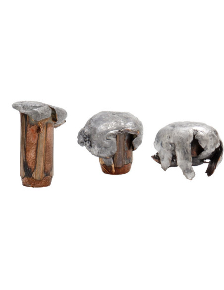 Nosler Trophy Grade Accubond 30-06 10,7gr