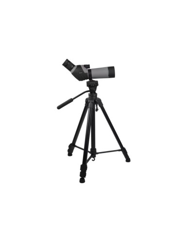 Weopti Active 20-60x60 inkl Benro T980