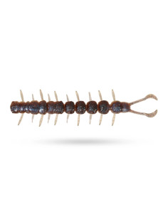 Westin Centipede 9,5cm 4g 4-pack